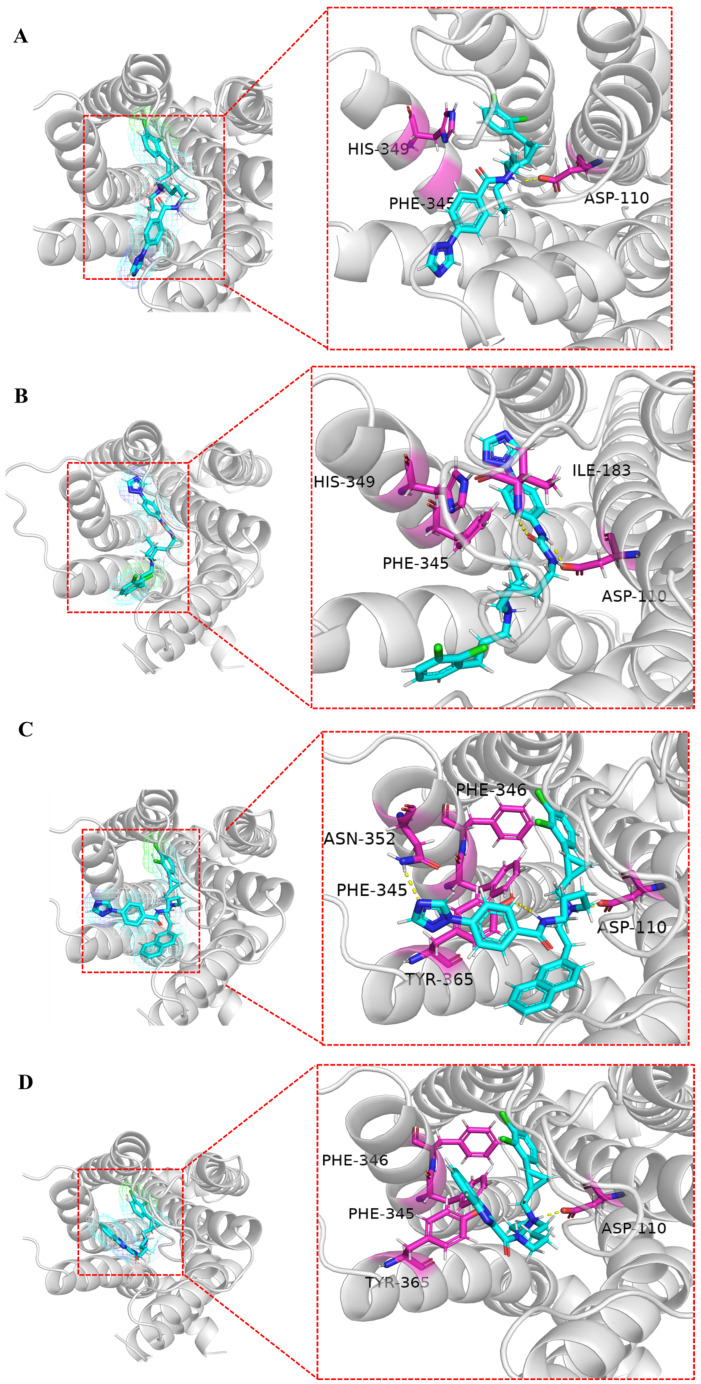 Figure 7
