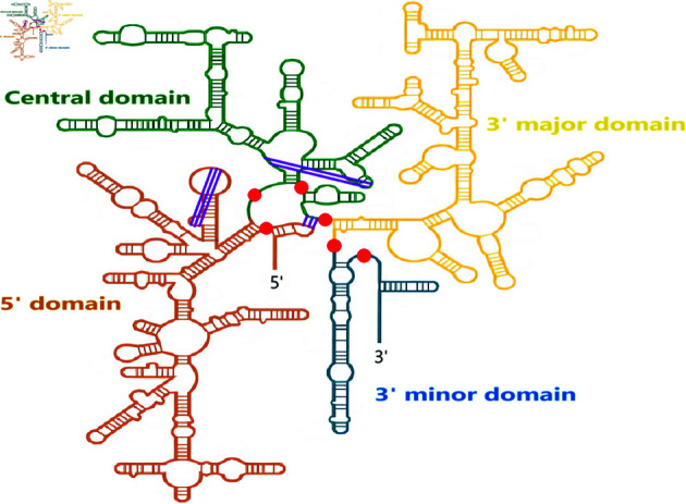 Figure 22