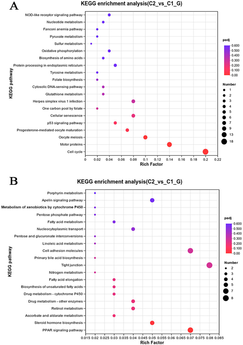 Figure 10