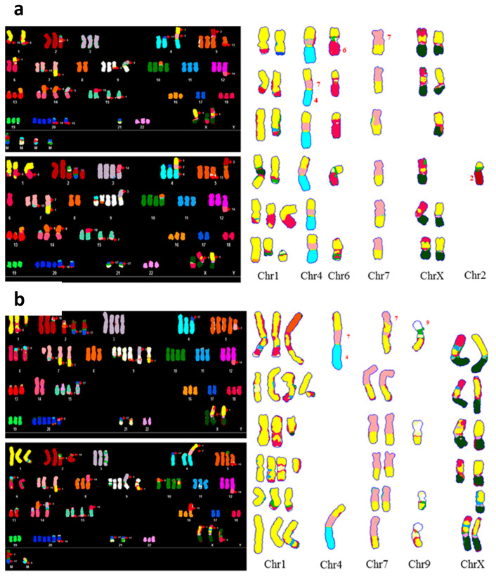 Figure 6