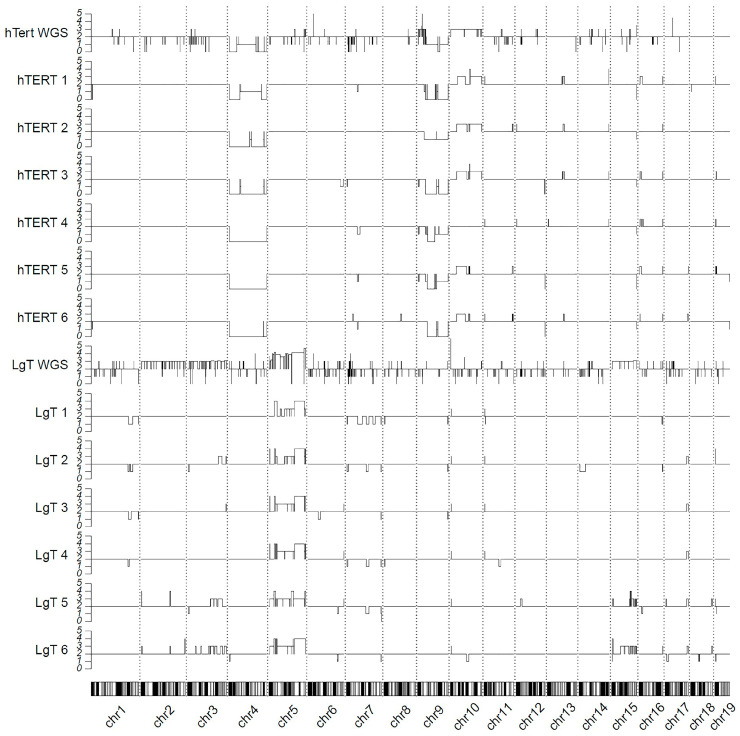 Figure 11