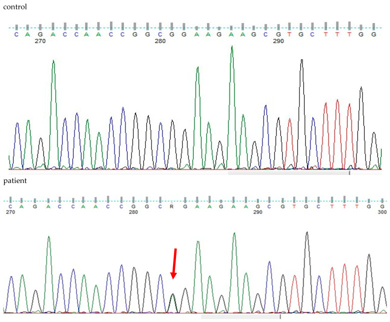 Figure 5
