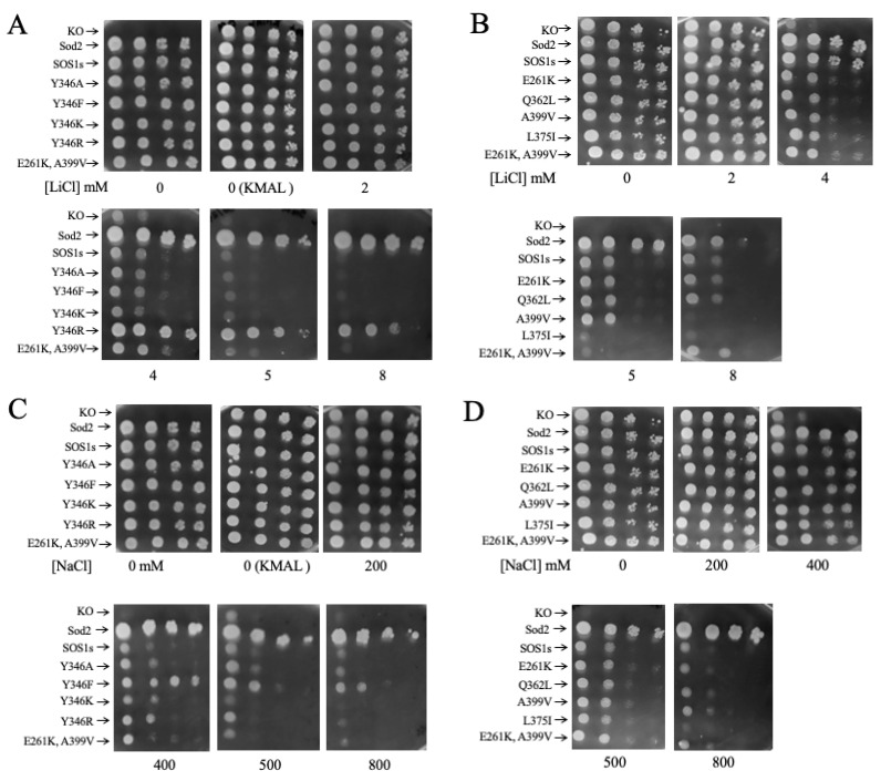Figure 10