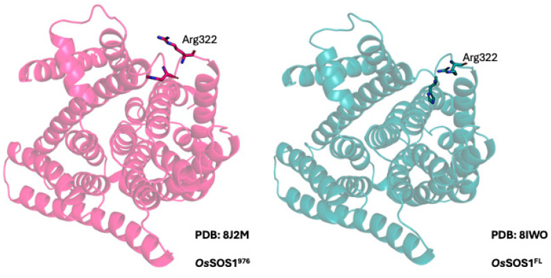 Figure 11