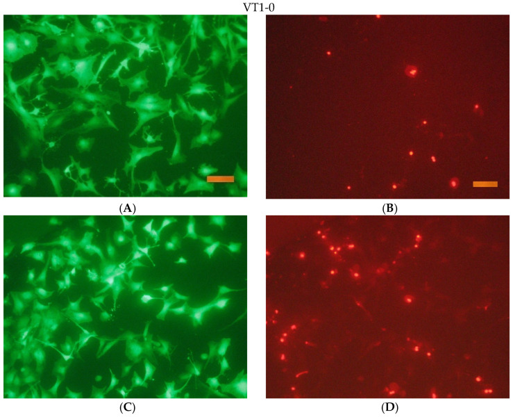 Figure 19