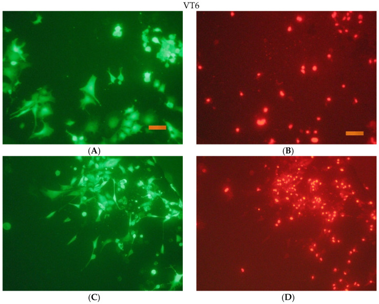 Figure 20