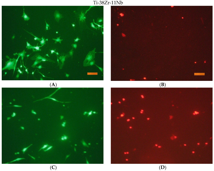 Figure 21