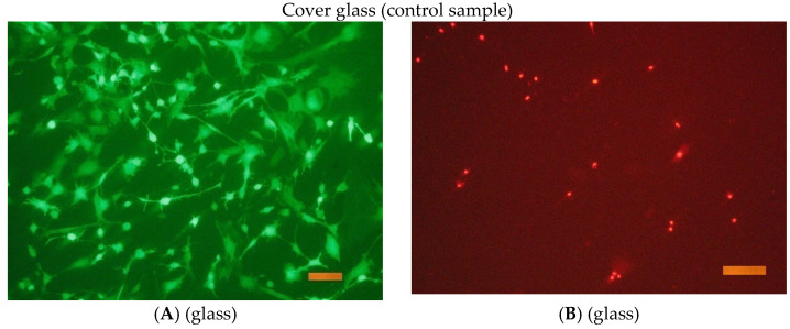 Figure 22