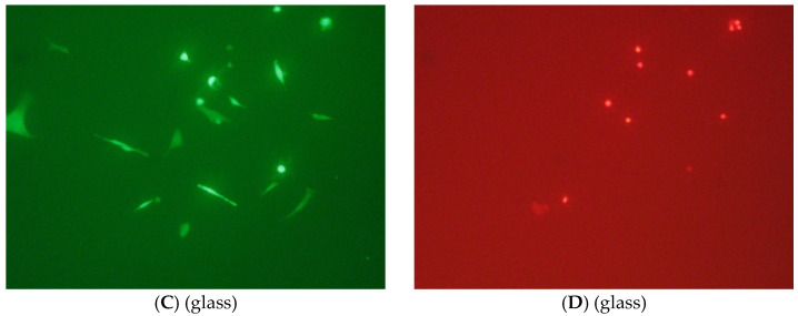 Figure 23