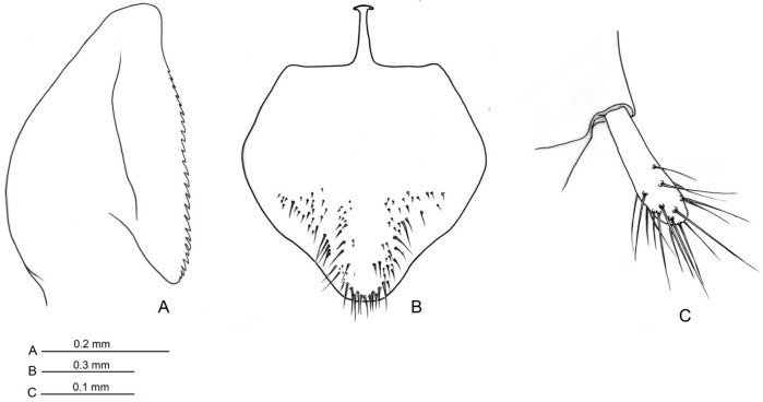 Figure 9