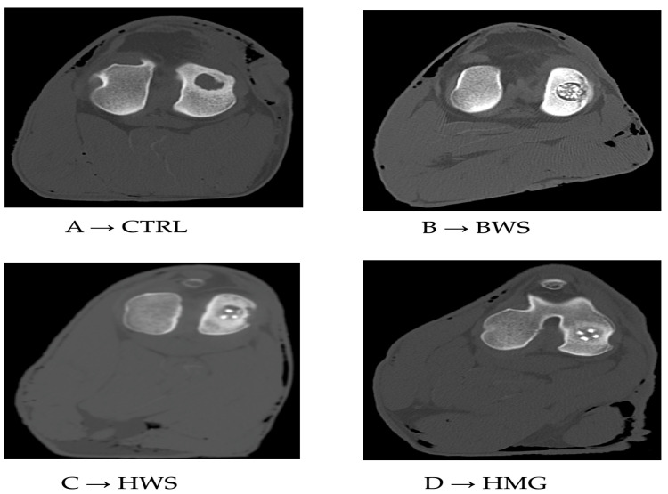 Figure 5