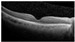 Figure 24