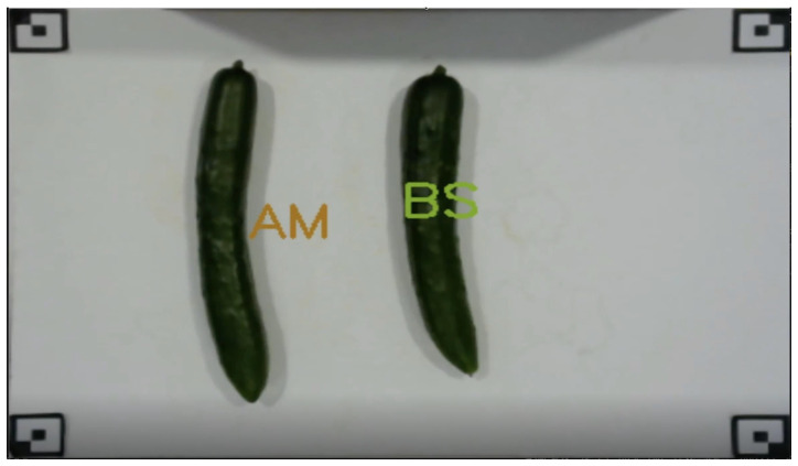 Figure 12