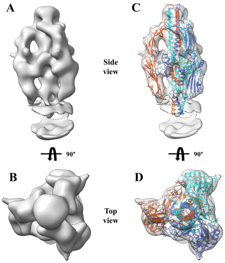 Figure 7