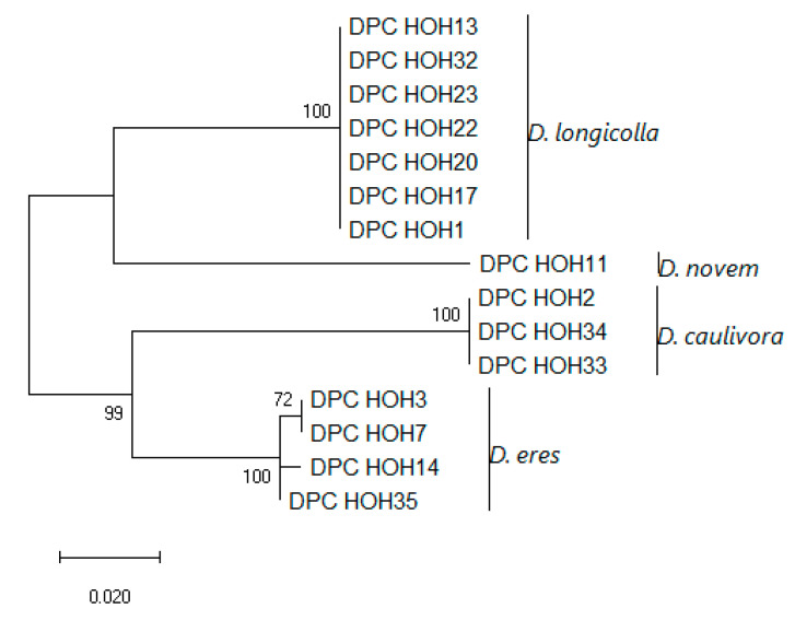 Figure 5