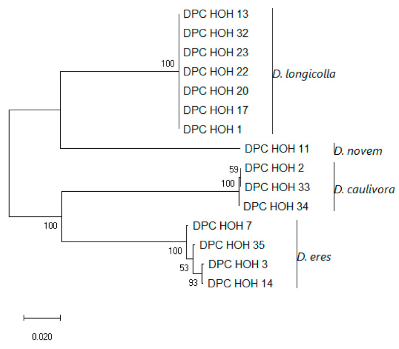 Figure 6