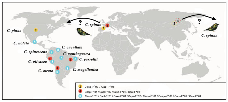 Figure 2