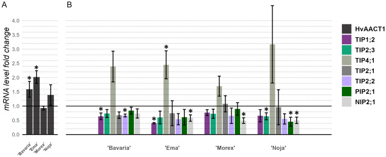Figure 6