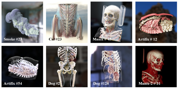 Figure 6