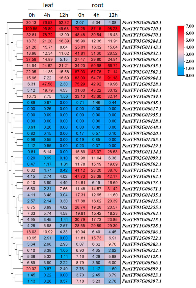 Figure 6