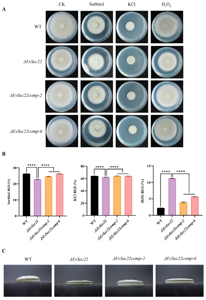 Figure 6