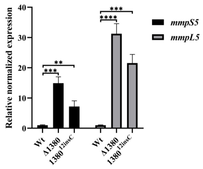 Figure 6