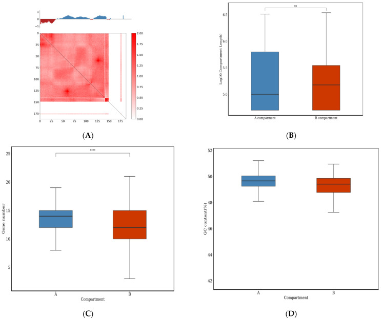 Figure 12