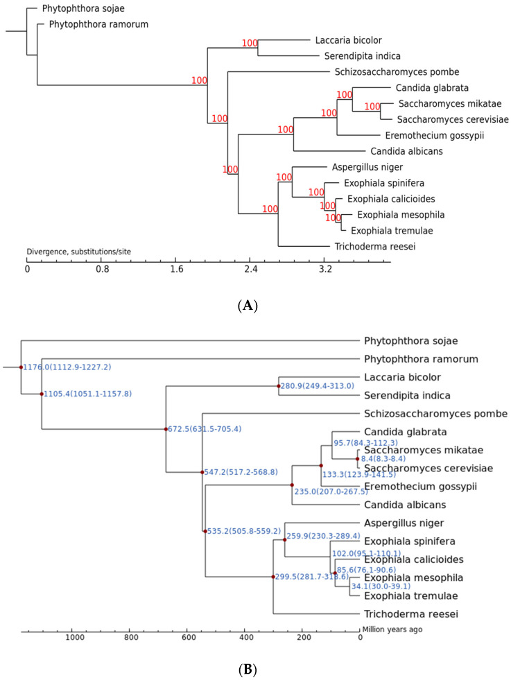 Figure 16