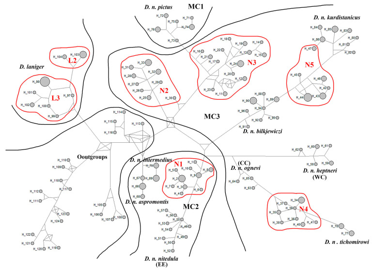 Figure 3