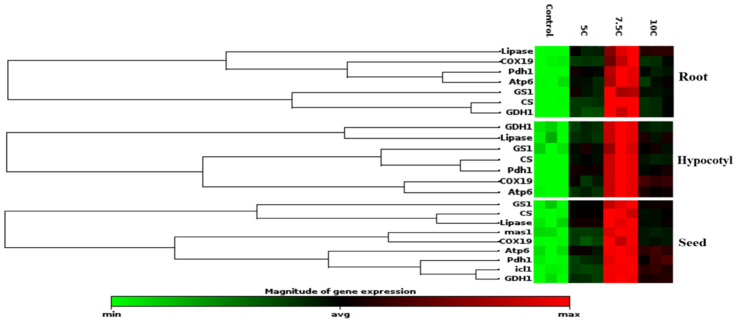 Figure 5