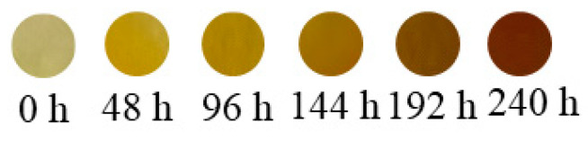 Figure 14