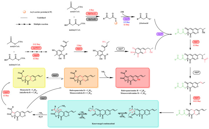 Figure 10