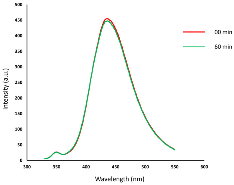 Figure 13