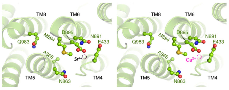 Figure 10