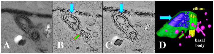 Figure 10
