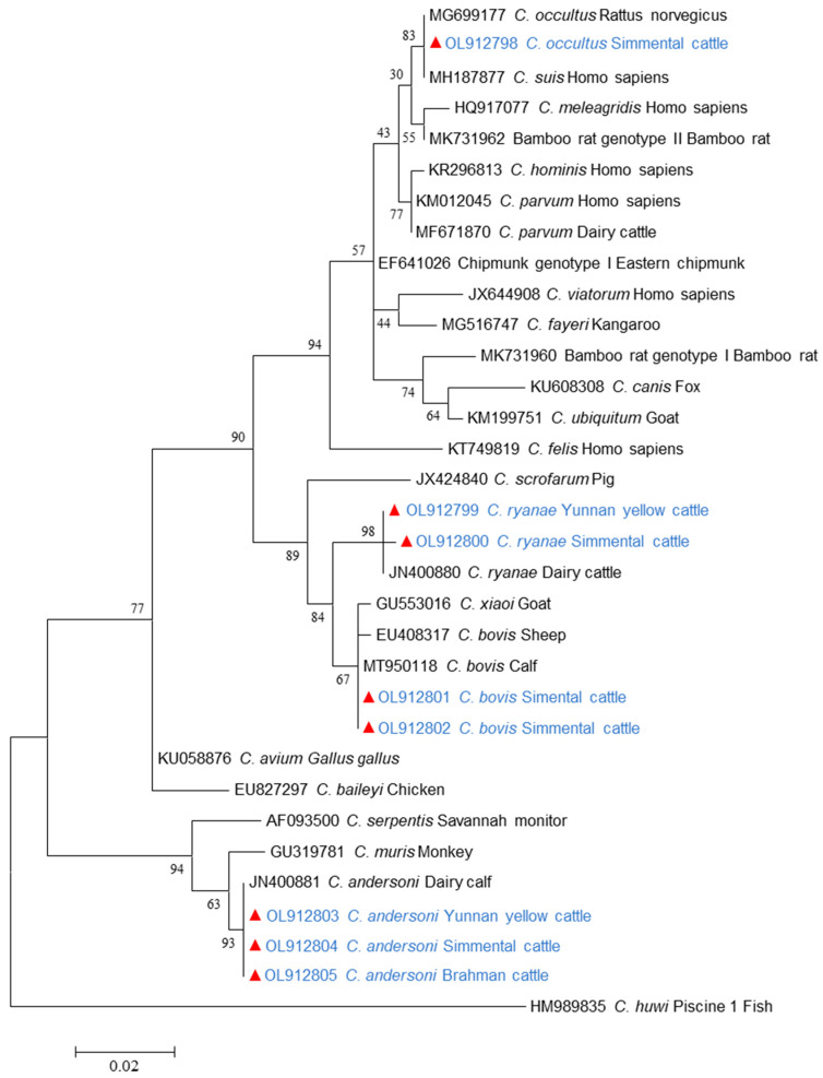 Figure 2