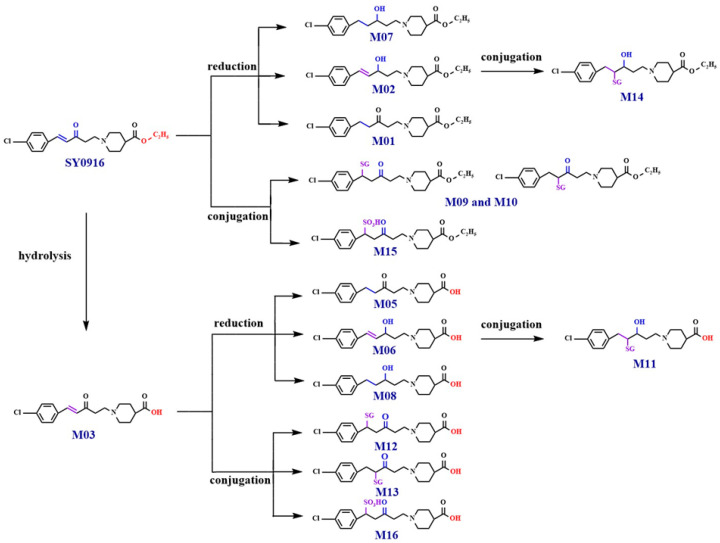 Figure 12