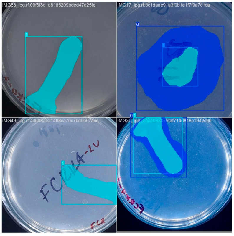 Figure 5