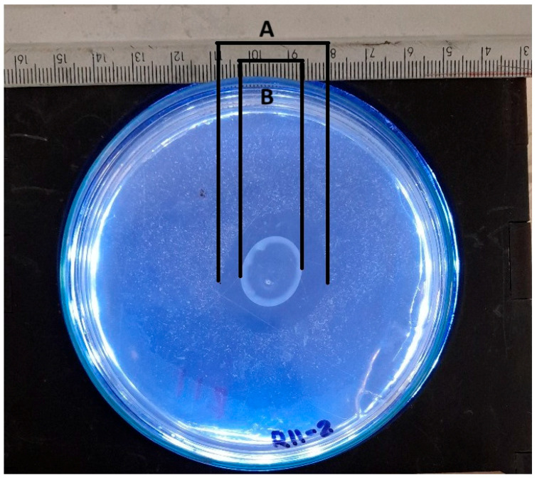 Figure 11