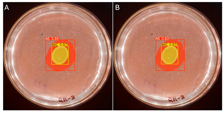 Figure 12