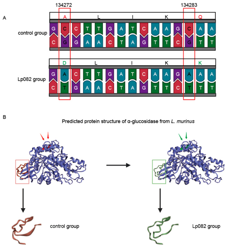 Figure 7