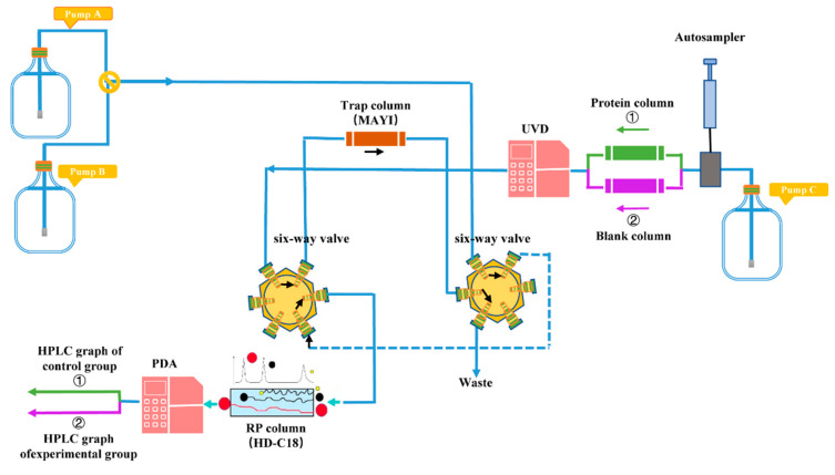 Figure 9