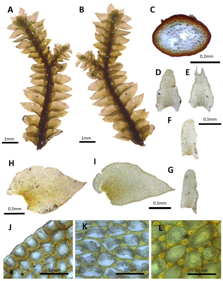 Figure 14