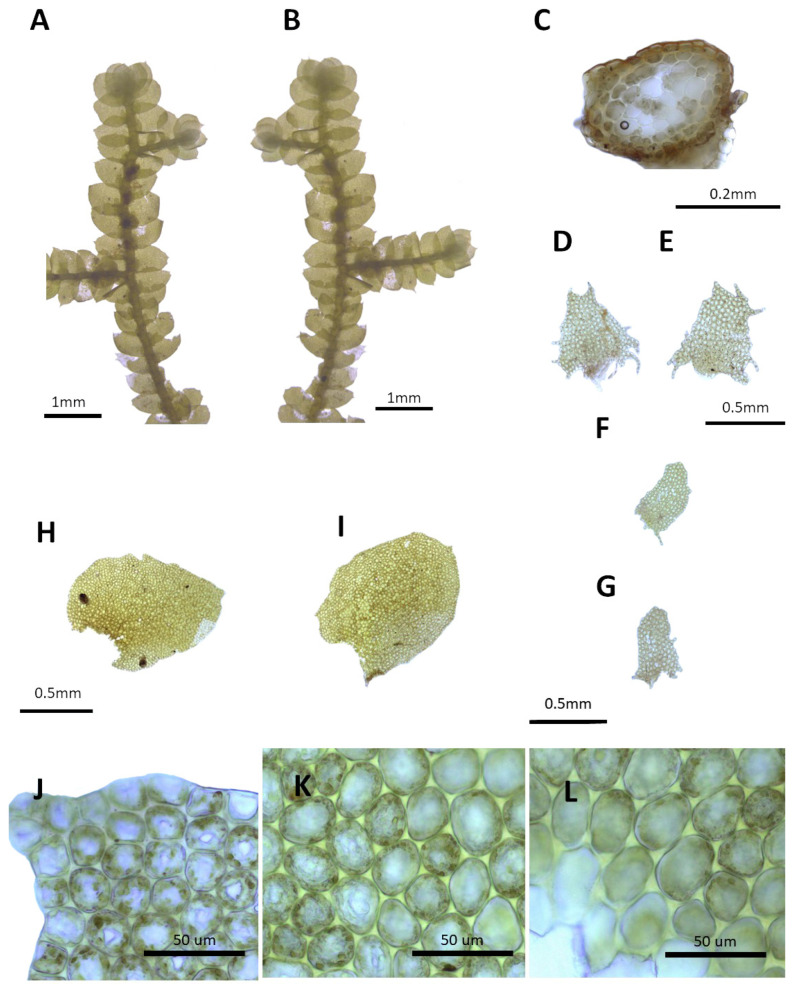 Figure 15