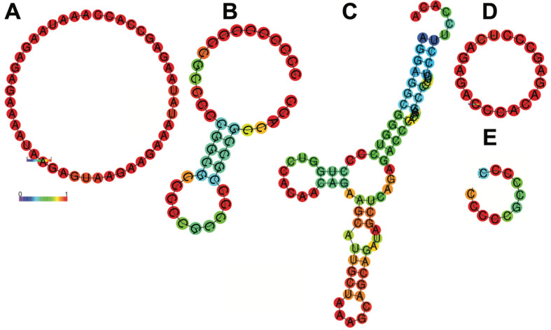 Figure 5