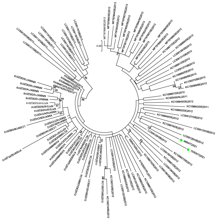 Figure 2