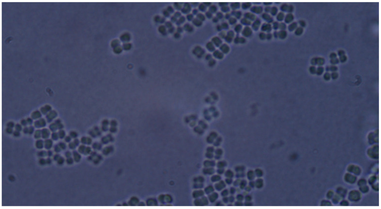Figure 10