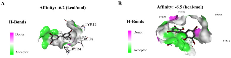 Figure 9