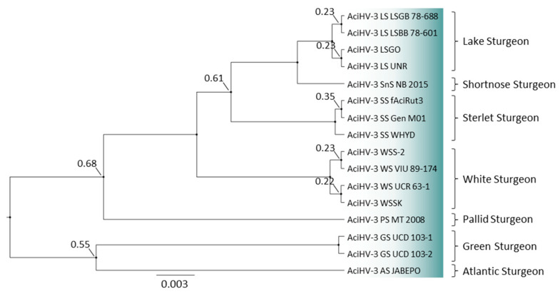 Figure 11
