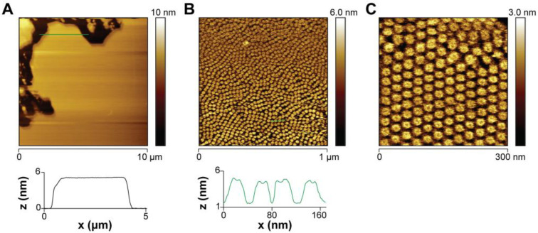 Figure 6